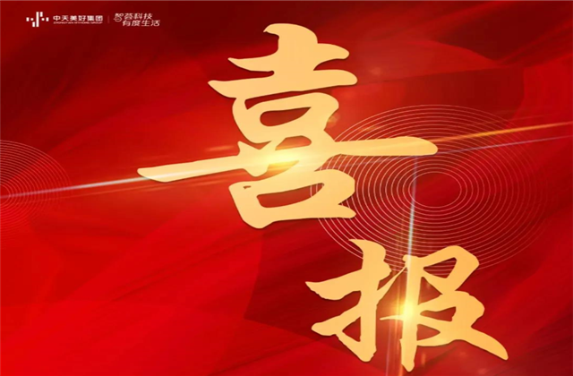 银娱优越会美好集团蝉联“2021长三角城市群房地产公司品牌价值TOP10”